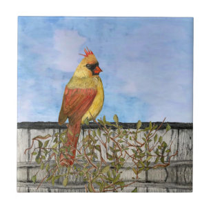 Azulejo Nilo cerámico cardinal femenino