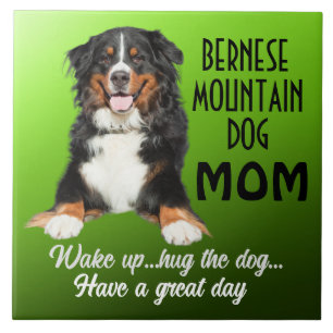 Azulejo Nilo cerámico de mamá de perro de montaña de Berne