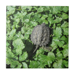 Azulejo Nilo de tortuga para bebe