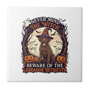 Azulejo No Importa Bruja Cuidado Labrador Retriever Hallow