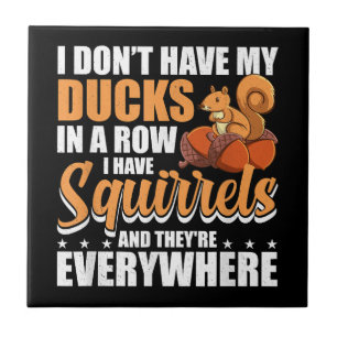 Azulejo No tengo mis pollos en la fila tengo ardillas