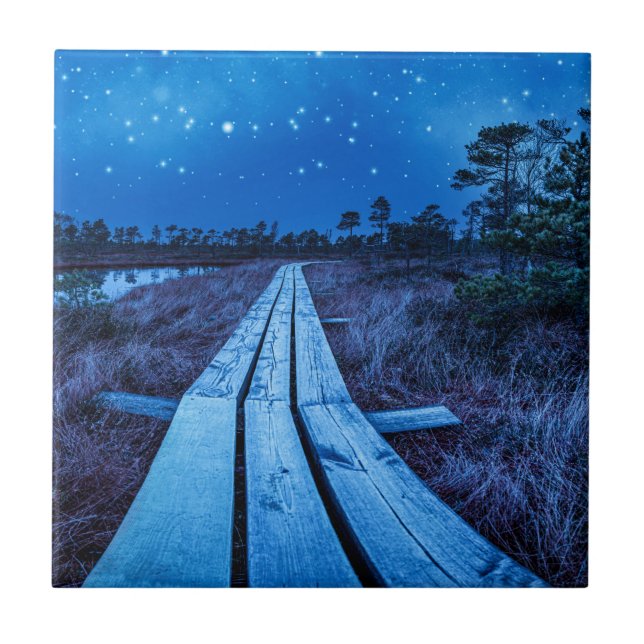 Azulejo Noche de swaps (Frente)