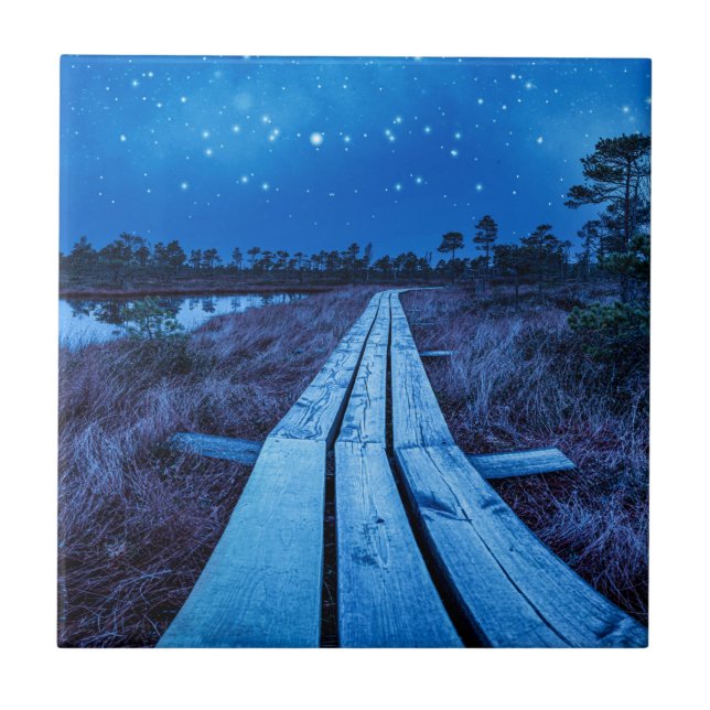 Azulejo Noche de swaps (Frente)