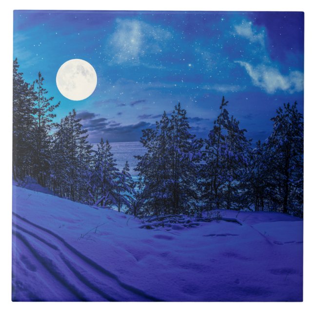 Azulejo Noche estrellada con luna llena en el bosque (Frente)