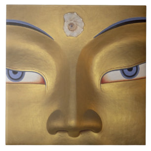 Azulejo Norte de India, Ladakh, Thikse gompa