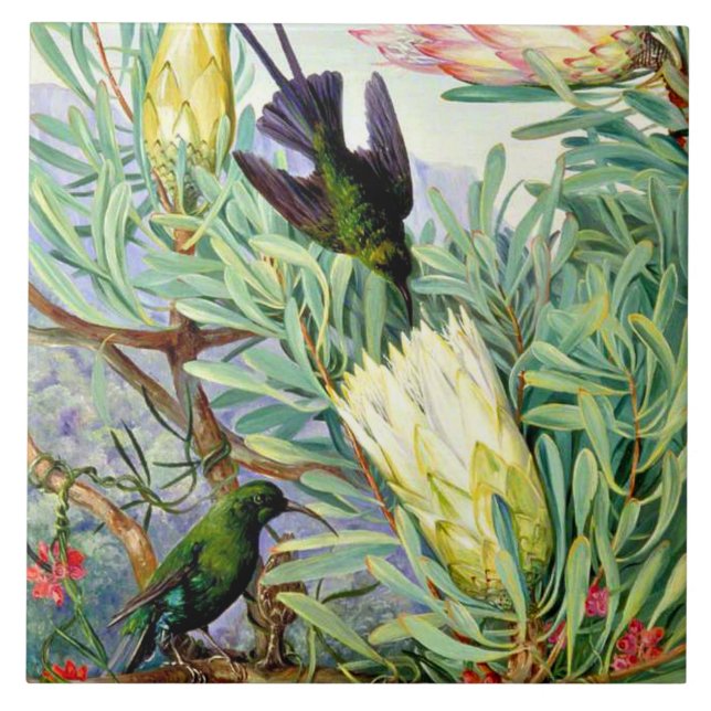 Azulejo Norte - Flores de miel y lúpulos de miel  (Frente)