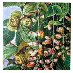 Azulejo Norte - Un roble Darjeeling, arte fino,