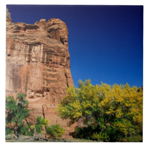 Azulejo Norteamérica, EE. UU., Arizona, indio navajo 3