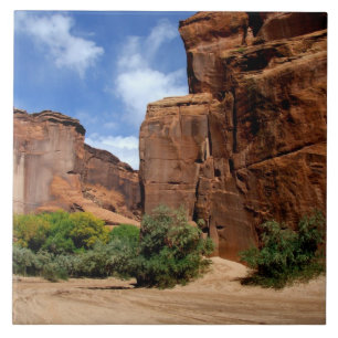 Azulejo Norteamérica, EE. UU., Arizona, Navajo indio 5