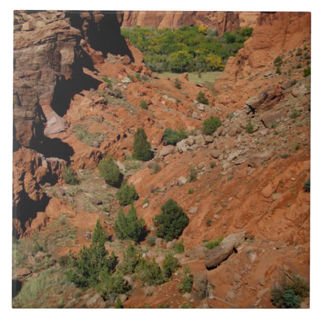 Azulejo Norteamérica, Estados Unidos, Arizona, Indio Navaj (Frente)