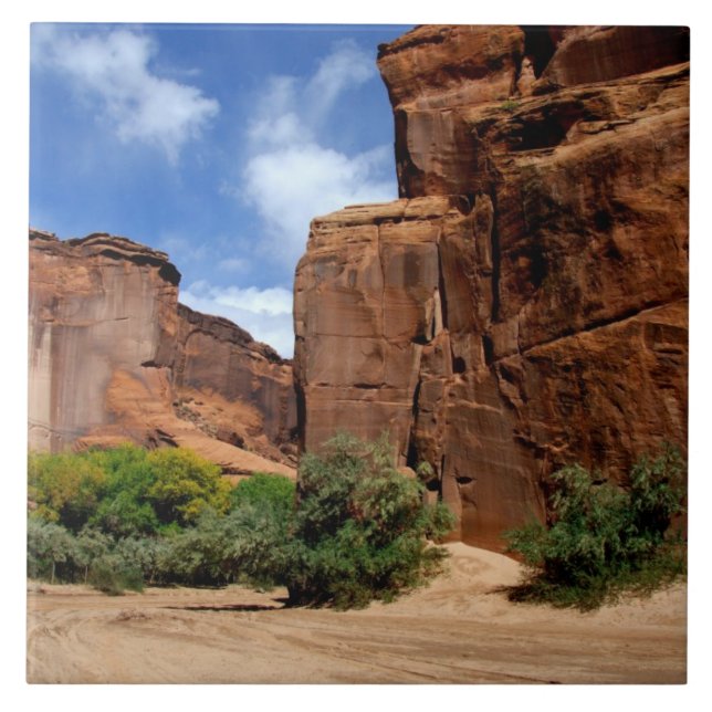 Azulejo Norteamérica, Estados Unidos, Arizona, Indio Navaj (Frente)