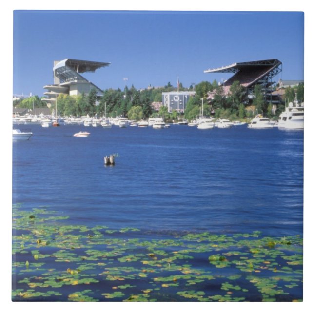 Azulejo Norteamérica, Estados Unidos, Estado de Washington (Frente)