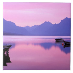 Azulejo Norteamérica, Estados Unidos, Montana, Glacier Nat