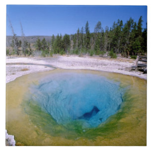 Azulejo Norteamérica, Estados Unidos, Wyoming, Yellowston