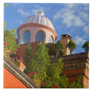 Azulejo Norteamérica, México, estado de Guanajuato, San 