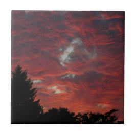 Azulejo ¡Nubes de golosinas!