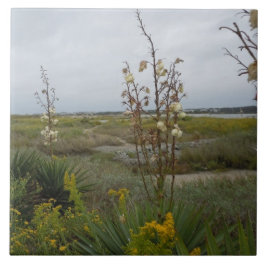 Azulejo Nubes y Wildflowers - isla del roble, NC de la