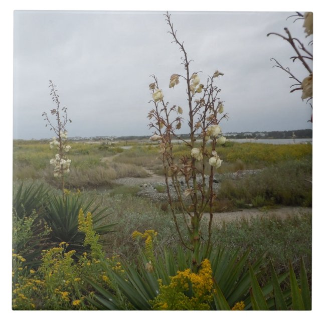 Azulejo Nubes y Wildflowers - isla del roble, NC de la (Frente)