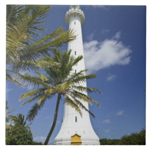 Azulejo Nueva Caledonia, islote Amedee. Islote Amedee