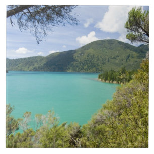 Azulejo Nueva Zelanda, Isla del Sur, Marlborough Sounds.