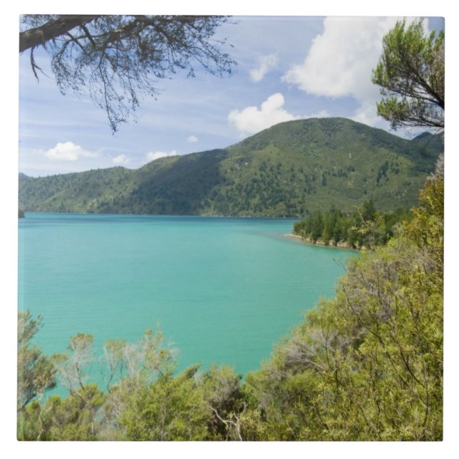 Azulejo Nueva Zelanda, Isla del Sur, Marlborough Sounds. (Frente)