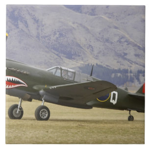 Azulejo Nueva Zelanda, Otago, Wanaka, aves de guerra mayor