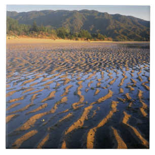 Azulejo Nueva Zelanda, Parque Nacional Abel Tasman, Costa