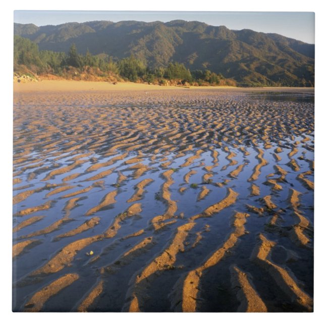 Azulejo Nueva Zelanda, Parque Nacional Abel Tasman, Costa  (Frente)