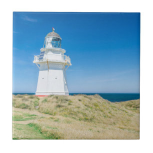 Azulejo Nueva Zelandia, South Island, Catlins, Waipapa