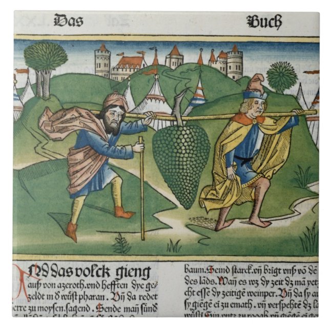 Azulejo Números 13 23 las uvas de Eschol, del 'Nure (Frente)