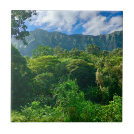 Azulejo Oahu, bosque lluvioso de Hawaii