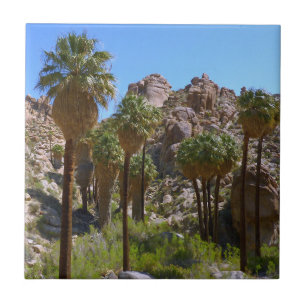 Azulejo Oasis Lost Palms I en el Parque Nacional Joshua Tr