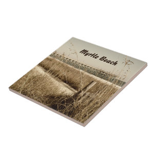 Azulejo Oats marinos en las dunas de la playa Myrtle