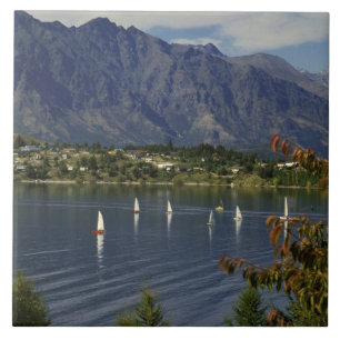 Azulejo Oceanía, Nueva Zelanda, Isla del Sur, Queenstwon.