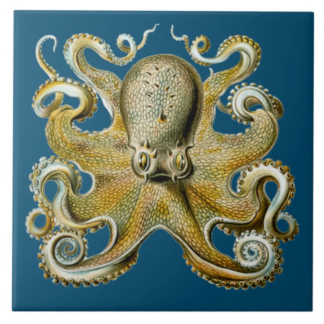 Azulejo Octopus (Frente)
