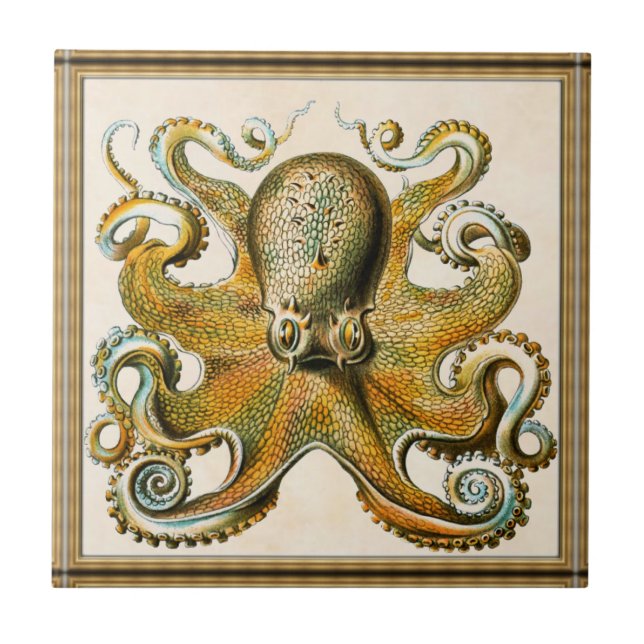 Azulejo Octopus (Frente)