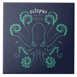 Azulejo Octopus Cephalopod Tentacles