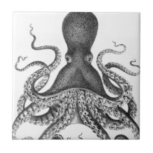 Azulejo Octopus de impresión vintage