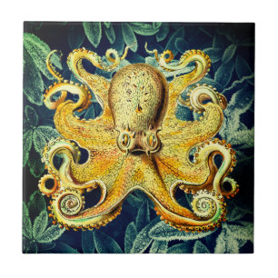 Azulejo Octopus retro y plantas submarinas congeladas - Gu