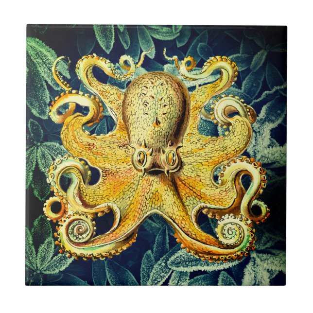 Azulejo Octopus retro y plantas submarinas congeladas - Gu (Frente)