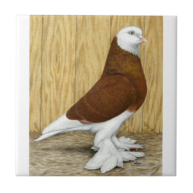 Azulejo Oeste de Inglaterra Tumbler Red Baldhead (Frente)