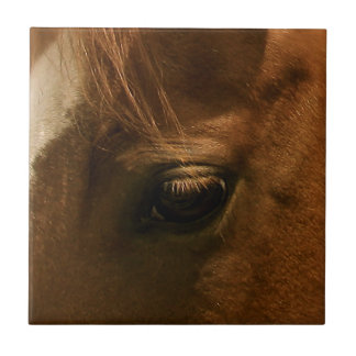 Azulejo Ojo del caballo