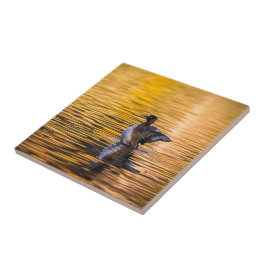 Azulejo Ojo dorado en un lago dorado