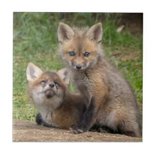 Azulejo Ojos amorosos