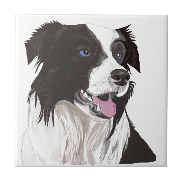 Azulejo ojos azules del collie blanco y negro (Frente)