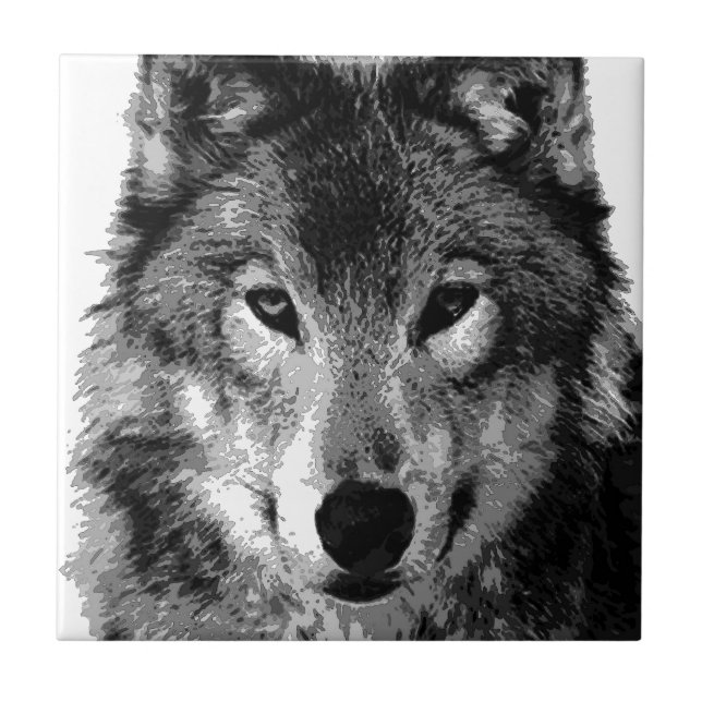 Azulejo Ojos de Lobo Blanco y Negro (Frente)