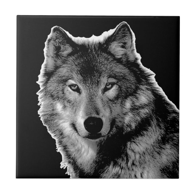 Azulejo Ojos de Lobo Blanco y Negro - Fotografía de animal (Frente)
