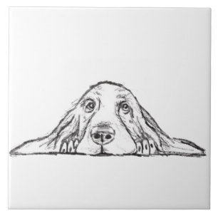 Azulejo ojos de perro blanco negro blanco simple perrito 