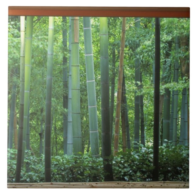 Azulejo Okochi Sanso, Arashiyama, Kyoto, Japón 3 (Frente)