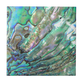 Azulejo Olmo